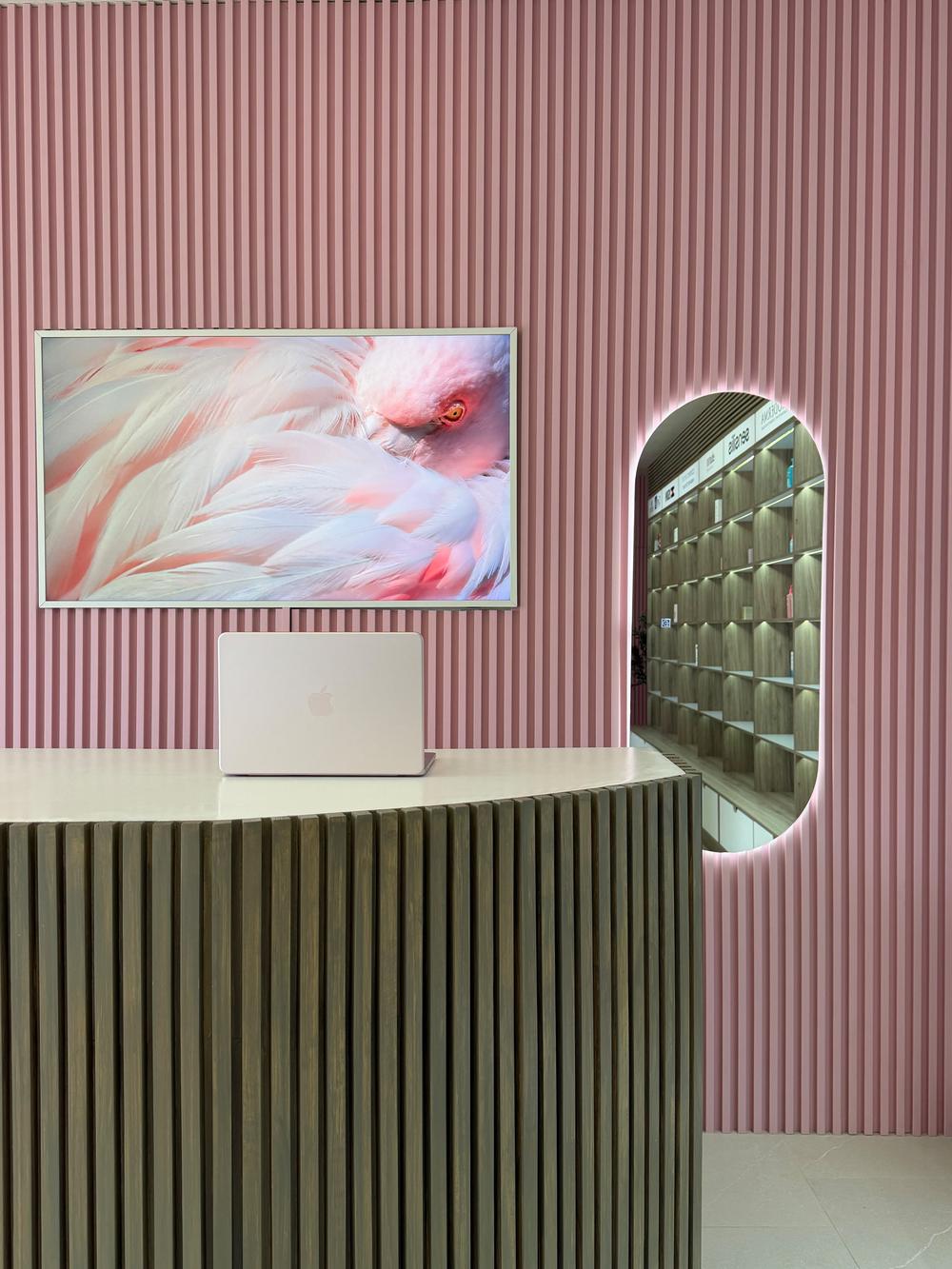 Recepción de basal: muro acanalado rosa con la obra de flamenco