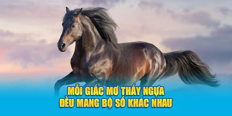 Mỗi giấc mơ thấy ngựa đều mang bộ số khác nhau