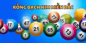 Định nghĩa về soi cầu rồng bạch kim miền Bắc