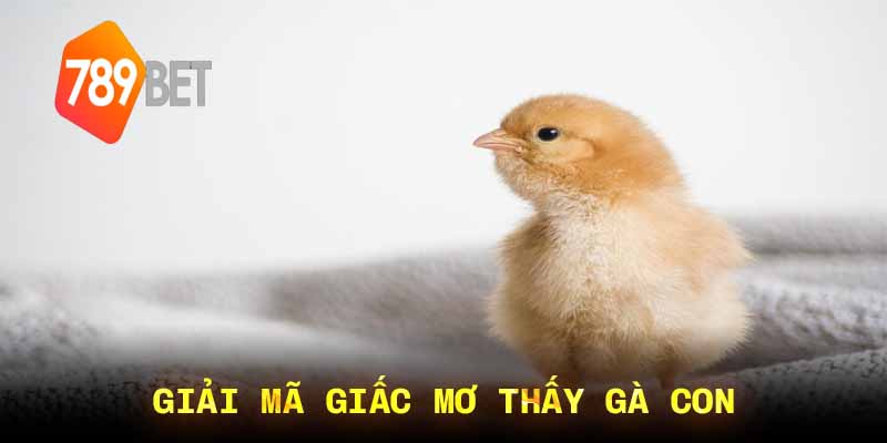 Giải Mã Giấc Mơ Con Gà: Ý Nghĩa Tâm Linh