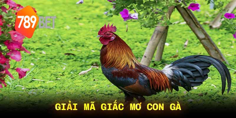 Giải Mã Giấc Mơ Con Gà: Ý Nghĩa Tâm Linh